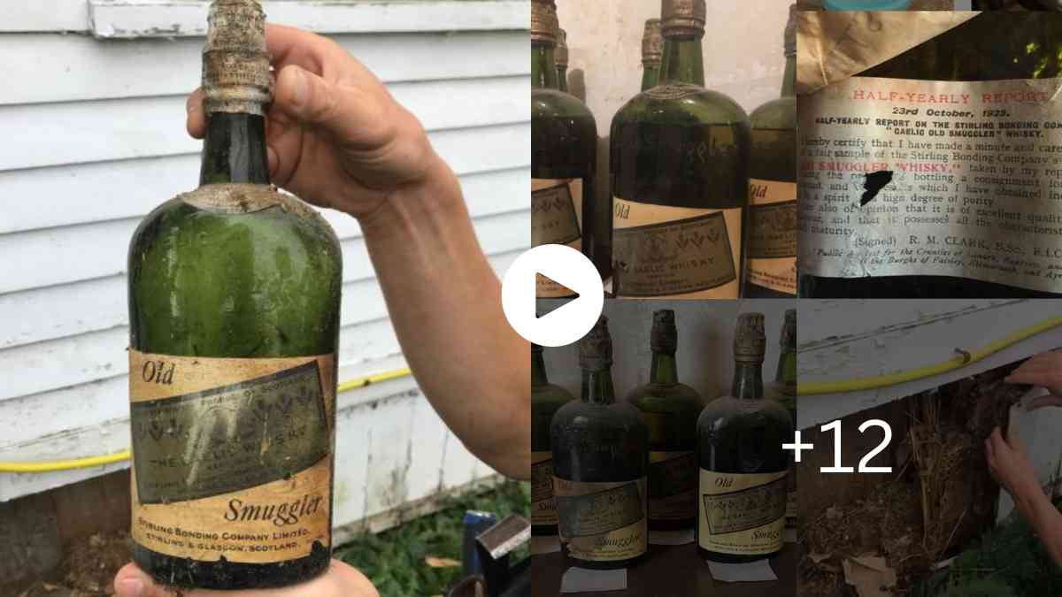 Mysteries Of The World Couple Finds 66 Bottles of Prohibition-era Whisky Hidden in Walls