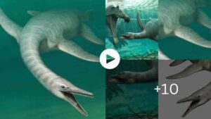 Mysteries Of The World Paleontologists Have Discovered A New Terrifying Sea Monster