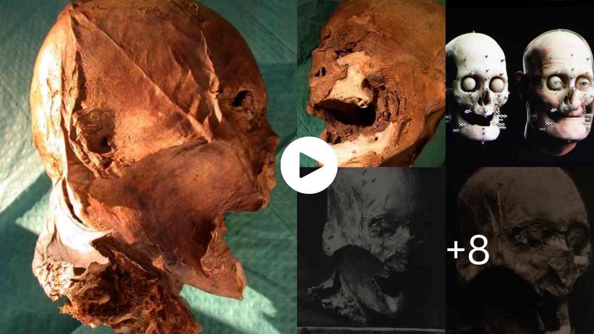 Mysteries Of The World 400-Year-Old Skull Found in Attic of French Tax Collector